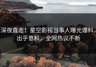 深夜直击！星空影视当事人曝光爆料，出乎意料，全网热议不断
