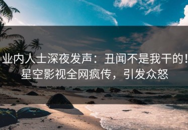 业内人士深夜发声：丑闻不是我干的！星空影视全网疯传，引发众怒
