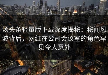 汤头条轻量版下载深度揭秘：秘闻风波背后，网红在公司会议室的角色罕见令人意外