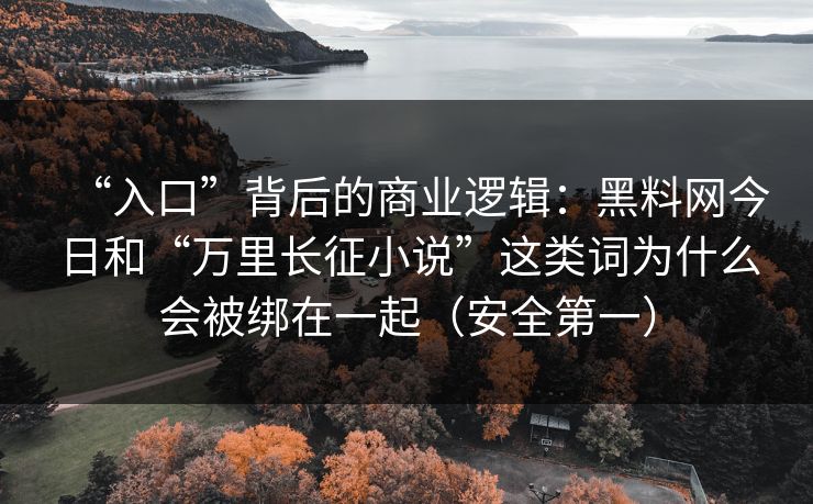 “入口”背后的商业逻辑：黑料网今日和“万里长征小说”这类词为什么会被绑在一起（安全第一）