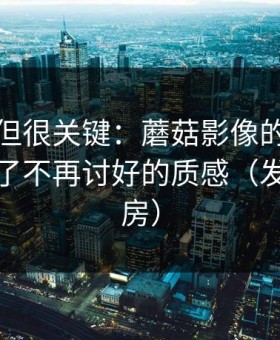 没人讲但很关键：蘑菇影像的封面设计决定了不再讨好的质感（发生在厨房）