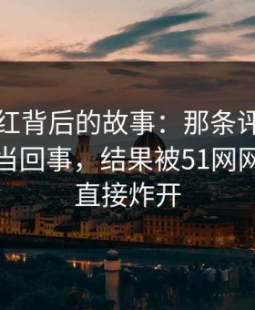 网络爆红背后的故事：那条评论区本来没人当回事，结果被51网网址一翻直接炸开
