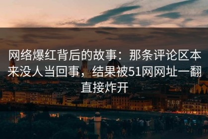 网络爆红背后的故事：那条评论区本来没人当回事，结果被51网网址一翻直接炸开