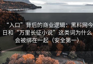“入口”背后的商业逻辑：黑料网今日和“万里长征小说”这类词为什么会被绑在一起（安全第一）